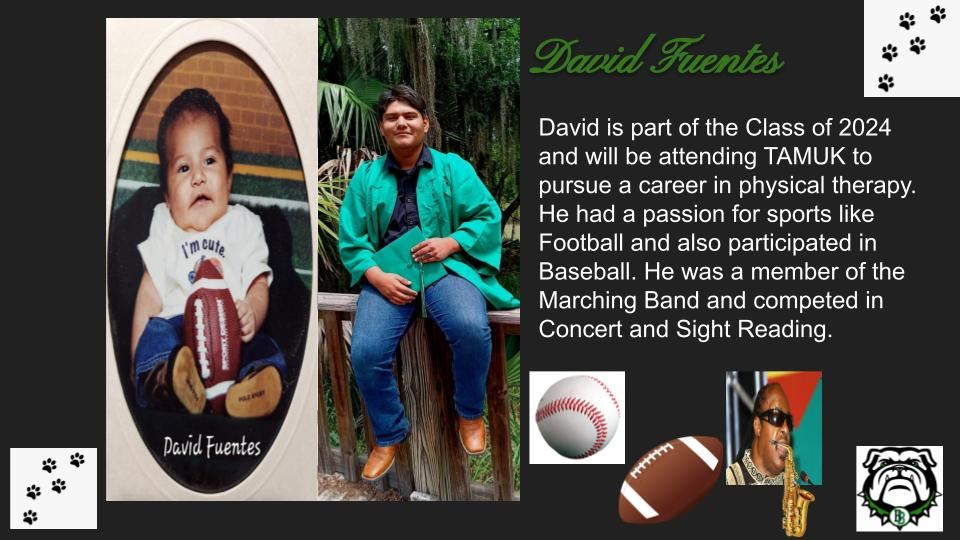 David Fuentes